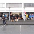 IMG 7785