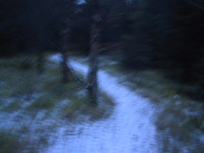 flurry