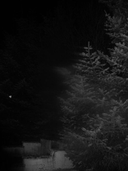 motionless