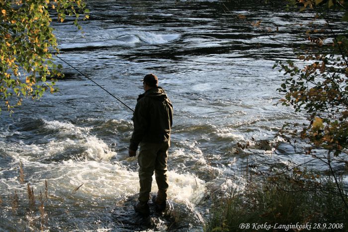 Langinkoski (15)