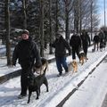 IMG 7489