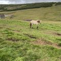 img 0634
