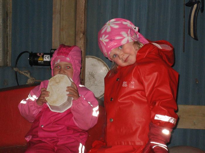 img 1292.jpg