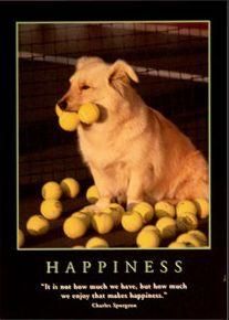 max_19161_happiness-posters.jpg