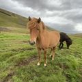 img 0603
