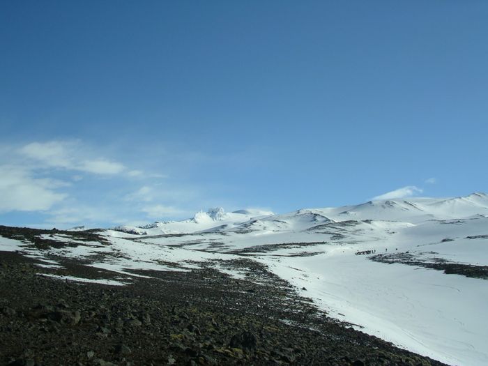 IMGP2395