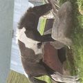 img 0027 1454273