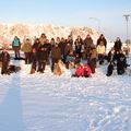 IMG 6639