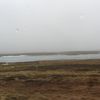 Hálf haustlegt um að litast