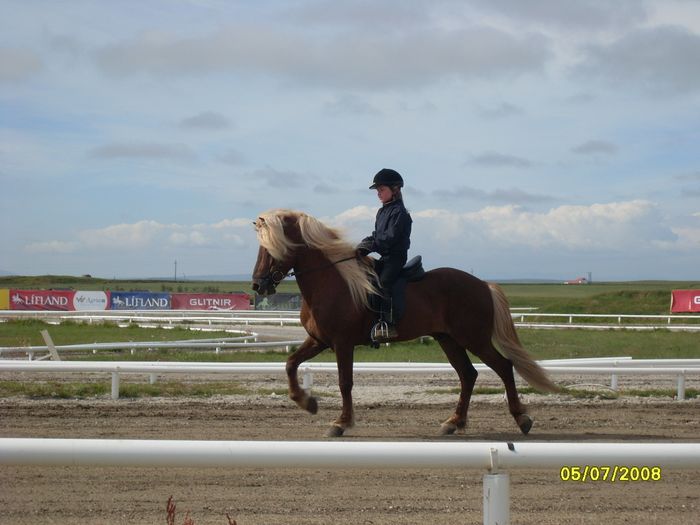 13. jl 2008 100