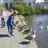 ...og þetta er það síðasta sem við eigum!