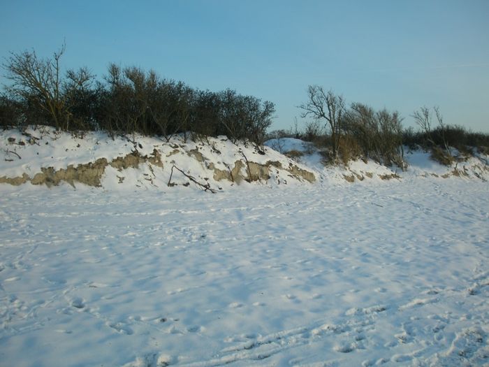 Strandgrur