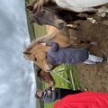 img 0552 1455452