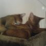 Blurry, but still a cute picture...