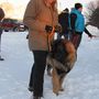 IMG 6626