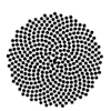 fibonacci 20zonnebloem.gif