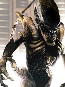 c_documents_and_settings_lafur_g_fannberg_olafur-d3284e55_my_documents_oprenta_ar_alien.jpg