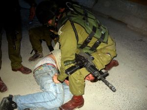 c_documents_and_settings_notandi_desktop_sunnlenska_palestina_4des_erikarrested111.jpg