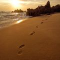 footprints-sand-beach-sunrise.jpg