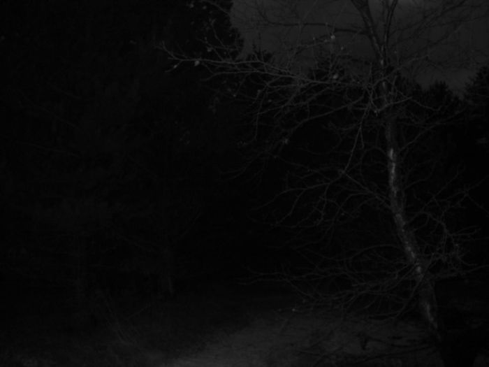 Burzum