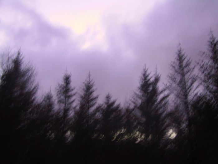 Perdition