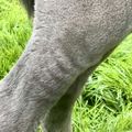 img 0286 1454948