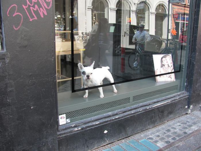 Copenhagen 082
