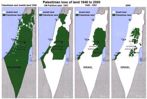 Palestna vs sarel