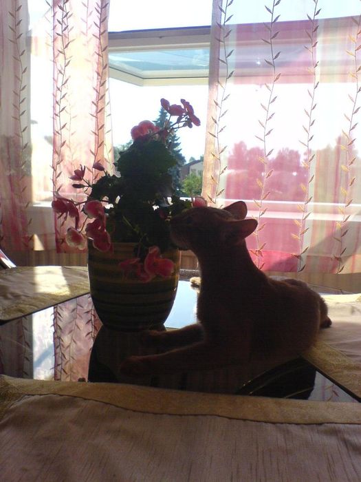 ... and smeeell the flowers...