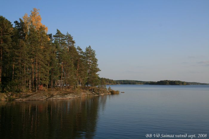 Haust vi Saimaa vatni 2008 (14)