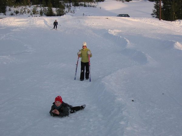 Mamma renndi sr eina fer sitjandi  skunum