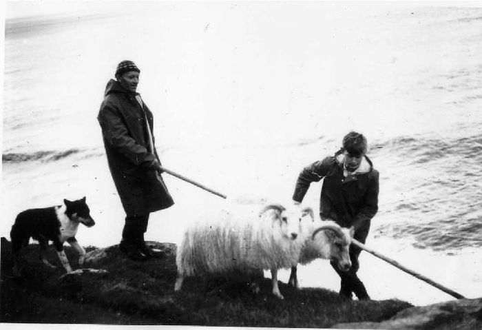 Gusti a Stad og Valli i smalamennsku 1970