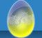 egg img11