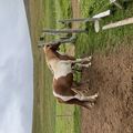 img 0618