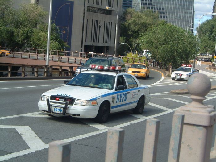 NYPD - lggan