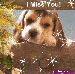 puppy miss you 782791.gif