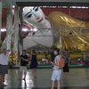 IMG 0892