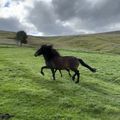 img 0336 1455141