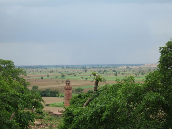 img 1916.jpg