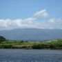 Daintree river