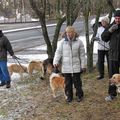 IMG 7197