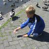 Viljar fann örlítinn brauðbita til að gefa vinum sínum