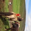 img 8445 1442372