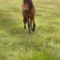 img 0109