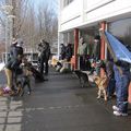 IMG 7520