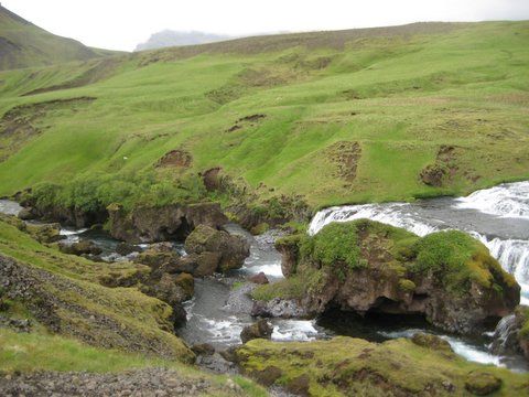 IMG 0810