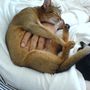 sooo cozy