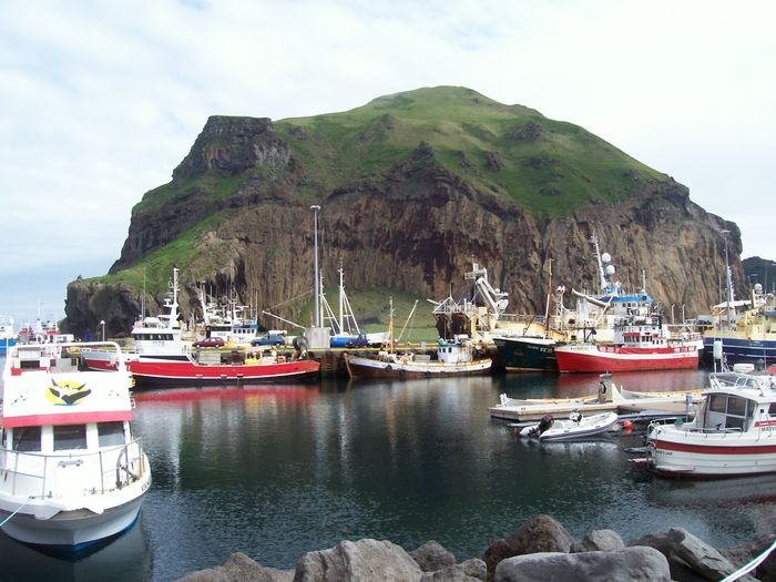 Vestmannaeyjar 225