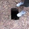 cu chi 033
