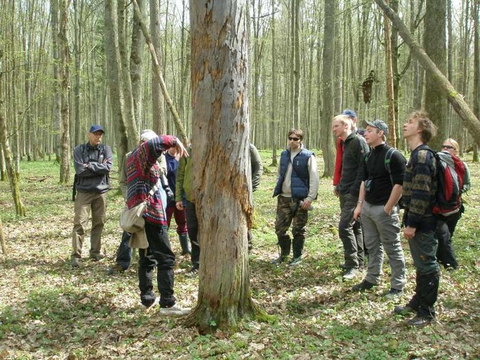 Bialowieza National park